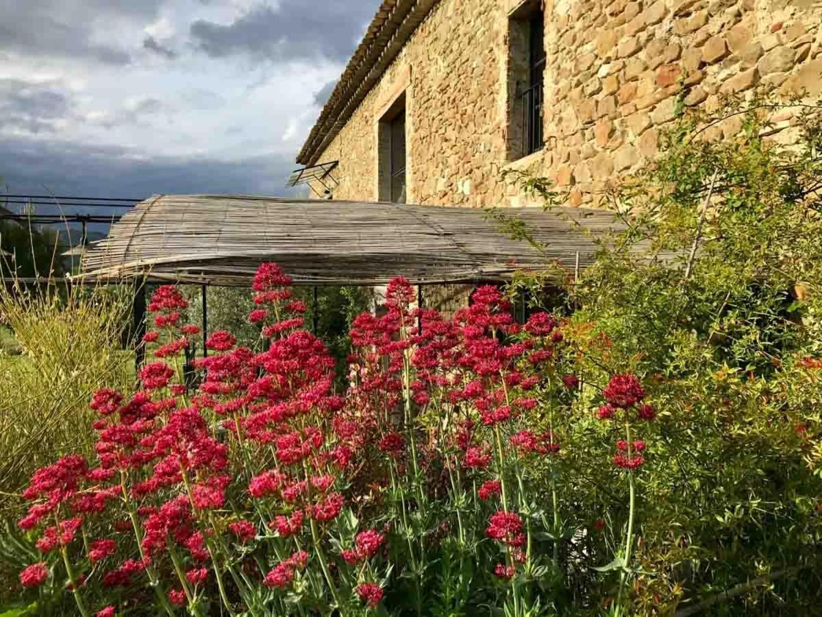 Villa La Demoiselle Puy-Saint-Martin Exterior foto